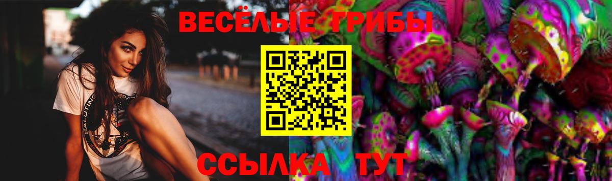 Заволжье  Псилоцибиновые грибы мухоморы  Вход с VPN 